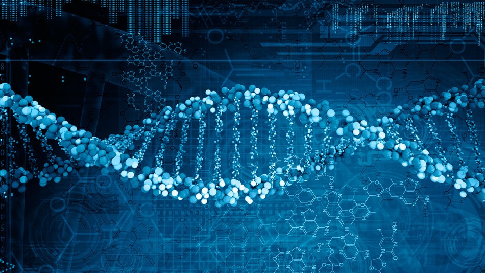 Changing the Memory of Your DNA