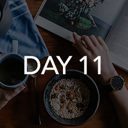 Day 11
