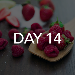 Day 14
