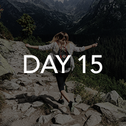 Day 15