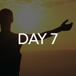 Day 7