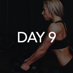 Day 9