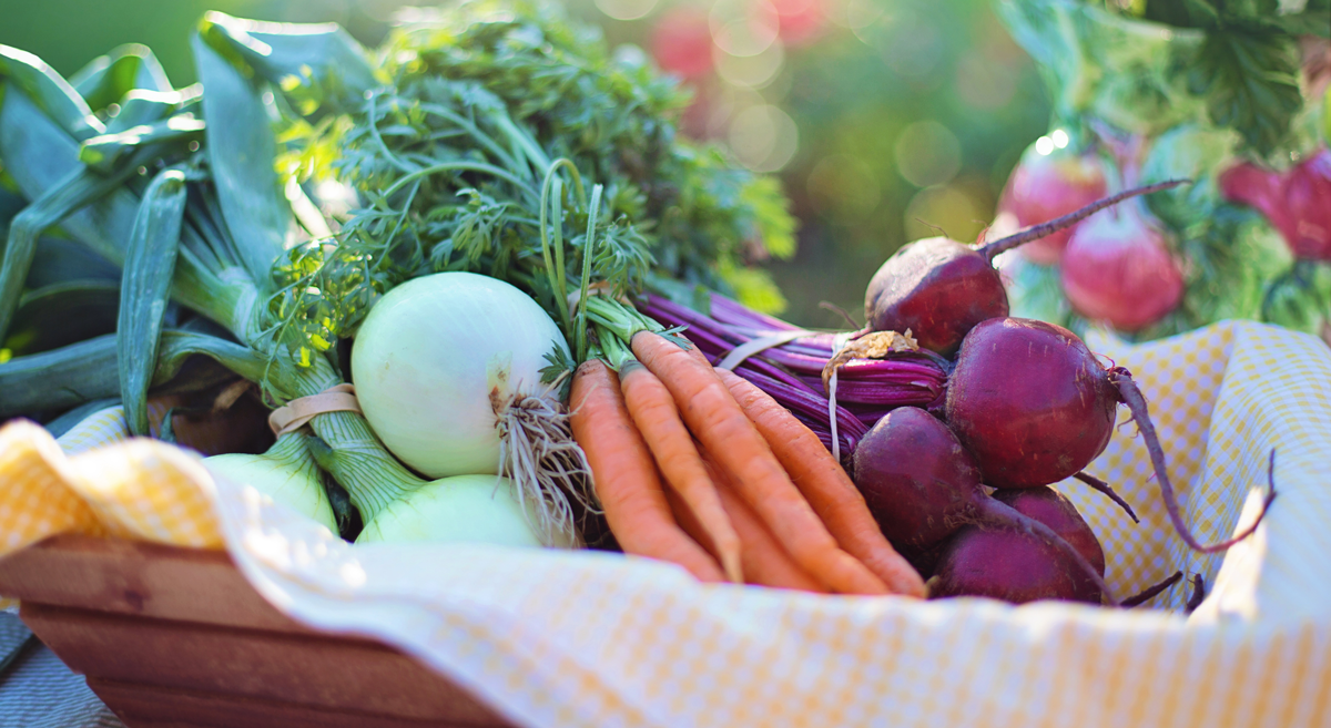 Eating to Stay Healthy and Active As You Get Older