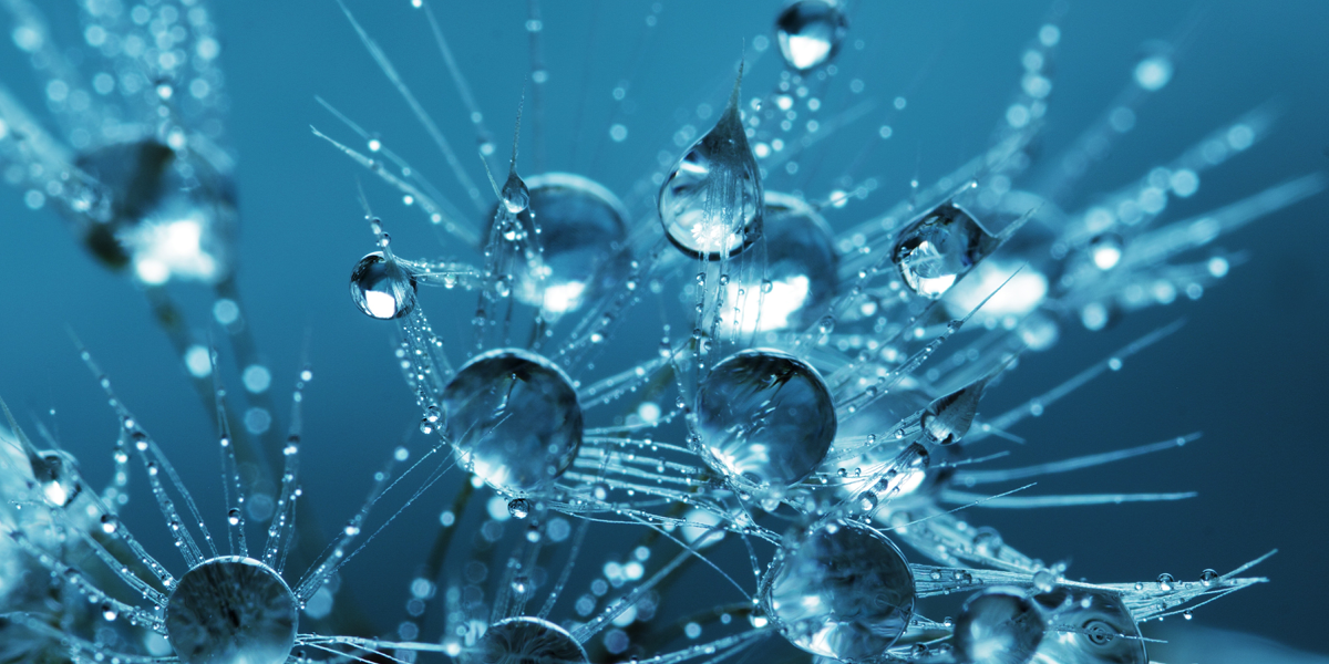 How you can Affect your own Epigenetics